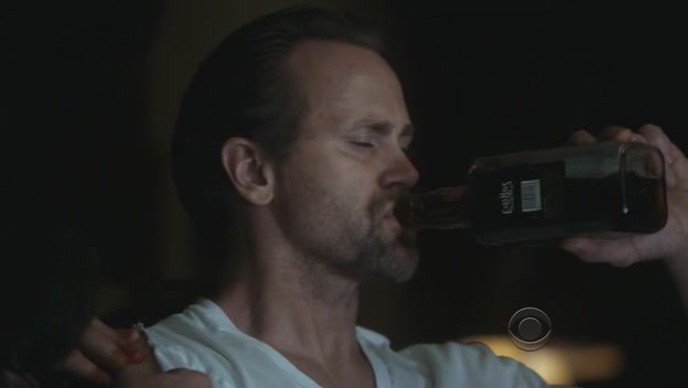Criminal.Minds.S05E11.Retaliation.HDTV.XviD-FQM.[VTV].avi0337