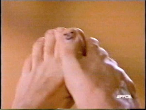 WS_DVD11-12